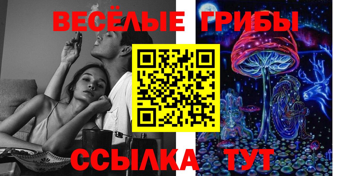 Галлюциногенные грибы мицелий  Псилоцибиновые грибы Psilocybe  Вход с VPN  Калининград 
